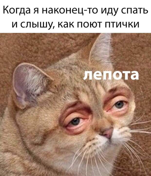 www.vsyako.net