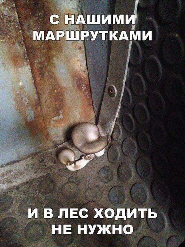 Подборка супер ржачных до слез картинок и мемов