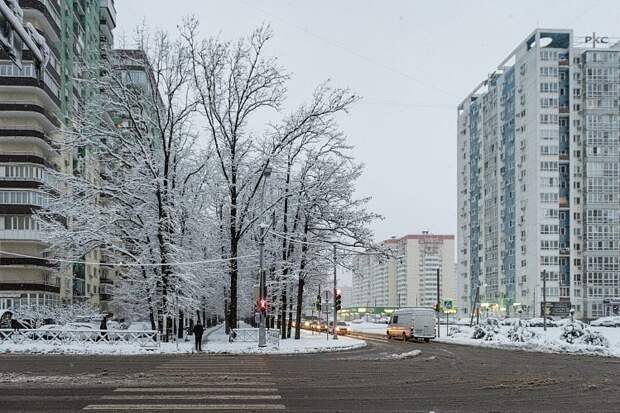 На Кубани из-за снегопада более пяти тысяч домовладений без света, на дороги рухнули деревья