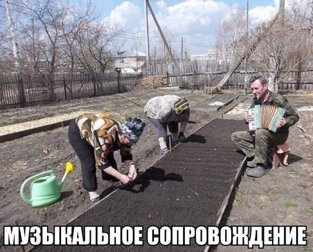 ПОЗИТИВНЫЙ ПОСТ+203