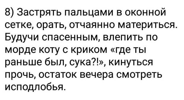 Наш ответ хвостатым животные, кошка, юмор