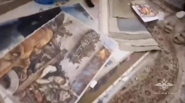 В Подмосковье похитили 104 картины из частной коллекции