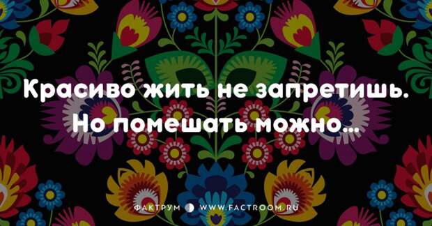 20 смешных современных поговорок, которых вы ещё не слышали 20 смешных современных поговорок, которых вы ещё не слышали
