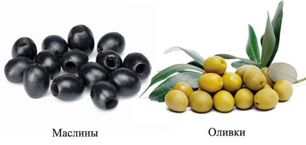 Чем отличаются оливки от маслин и какая от них польза?