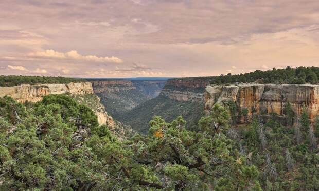 Mesa Verde National Park – археологическая достопримечательность, занимающая более 200 кв. км живописной территории (штат Колорадо, США). | Фото: visitmesaverde.com.