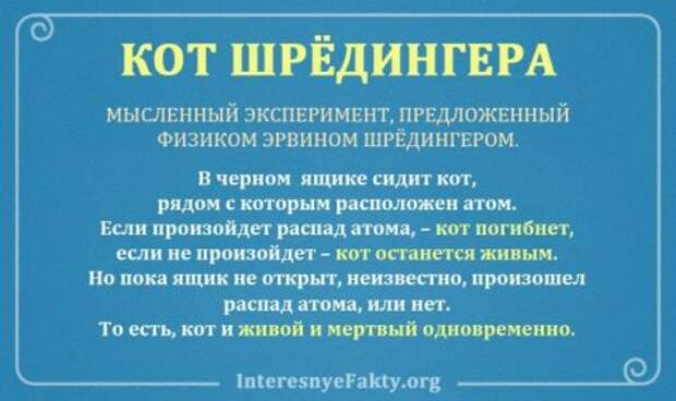 Кот Шредингера