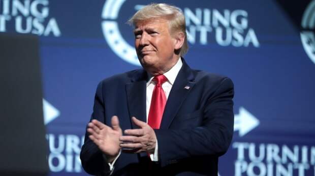 Трамп организует митинг против результатов выборов главы США Трамп организует митинг против результатов выборов главы США