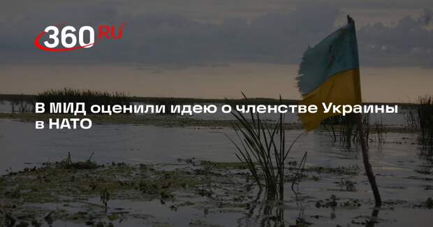 Замглавы МИД Грушко: США навязали союзникам членство Украины в НАТО