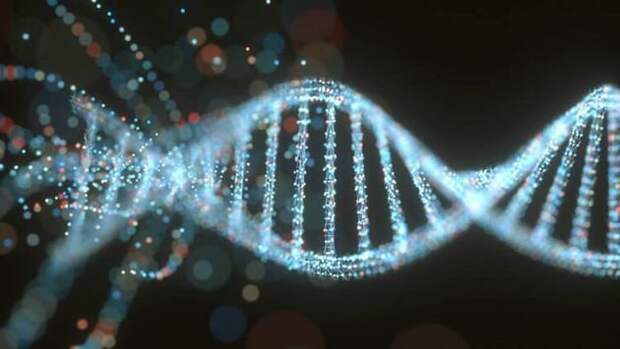 В результате облучения радиацией повреждается молекула ДНК