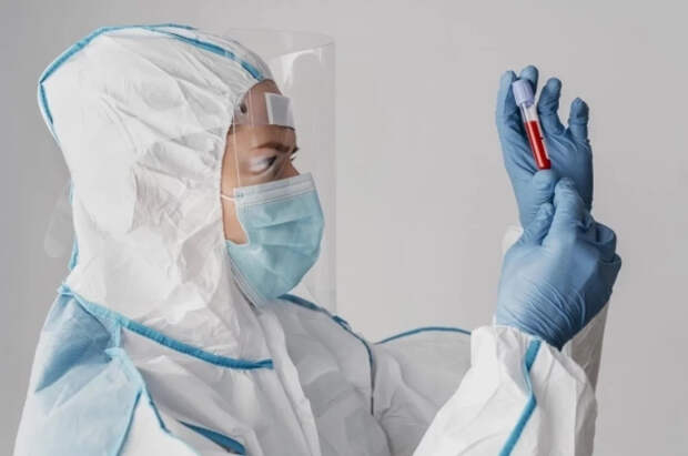 Вирусолог Аграновский рассказал о путях заражения оспой обезьян