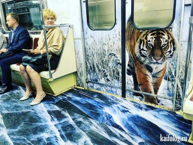 Приколы (55 фото)