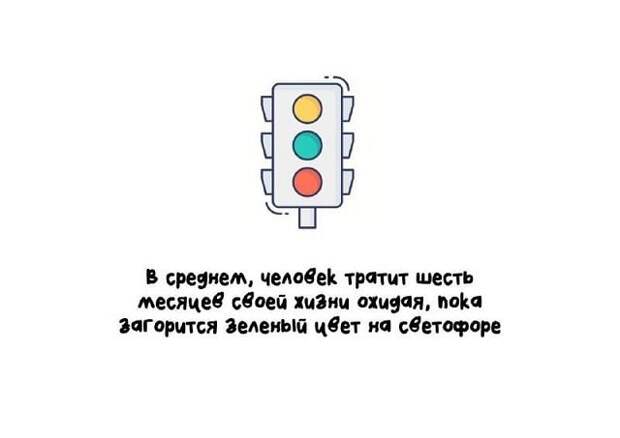 Интересные короткие факты на все случаи жизни