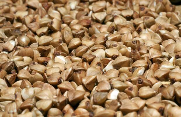 Россия стала главным экспортером гречки в США в 2025 году