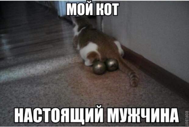 Новые прикольные фотомемы (28 шт)