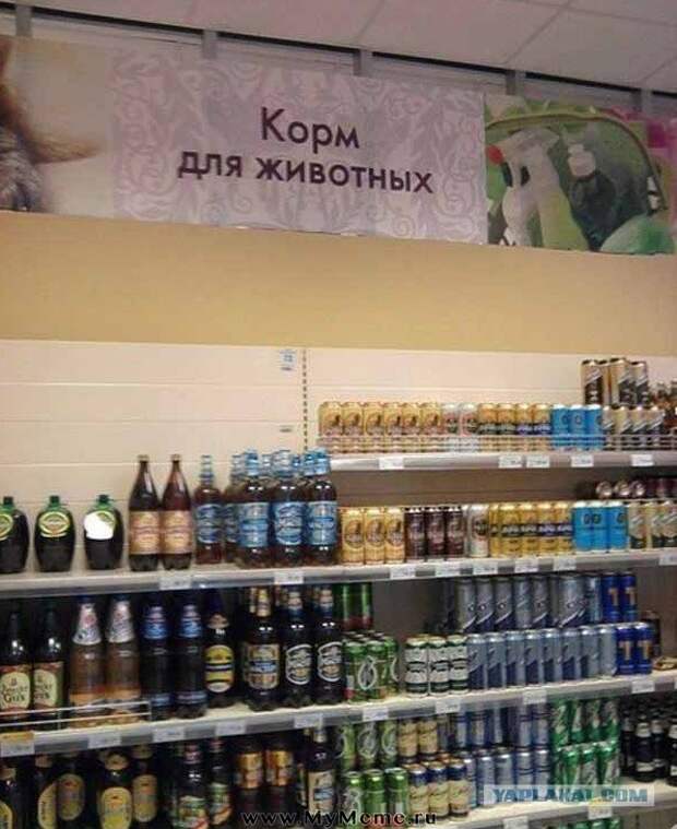 Нормальный корм корм, кошачий корм, подборка, прикол, собачий корм, юмор