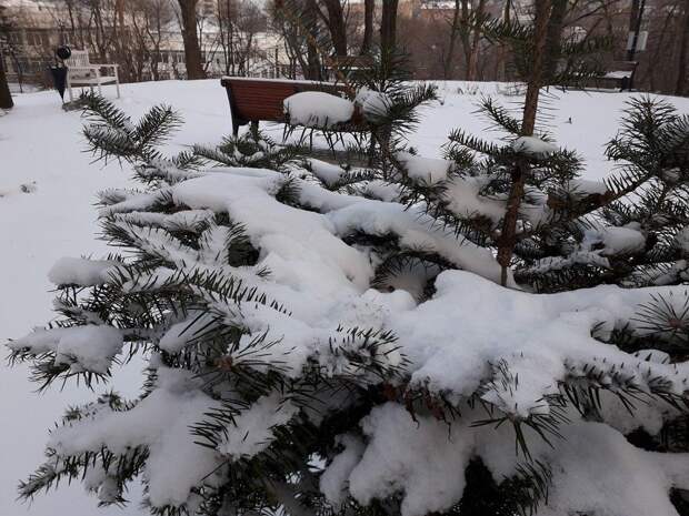 Новогодние морозы приходят во Владивосток