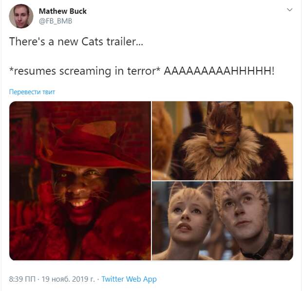 трейлер кошек