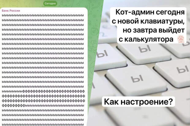 В ЦБ заявили, что пост с набором букв "ы" и "ф" появился из-за кота-админа