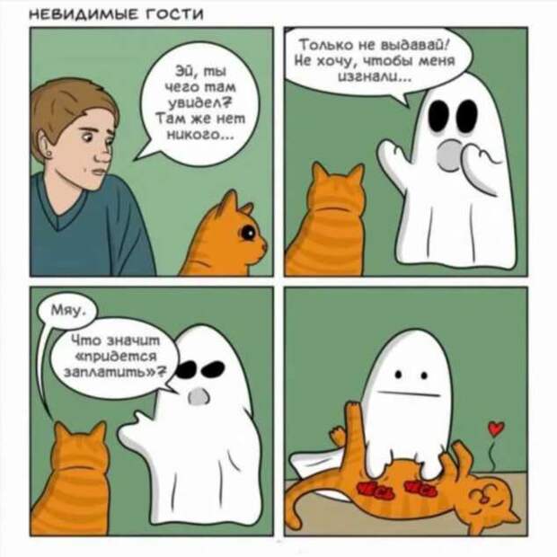 Неадекватный юмор из социальных сетей. Подборка chert-poberi-umor-chert-poberi-umor-54430616062020-3 картинка chert-poberi-umor-54430616062020-3