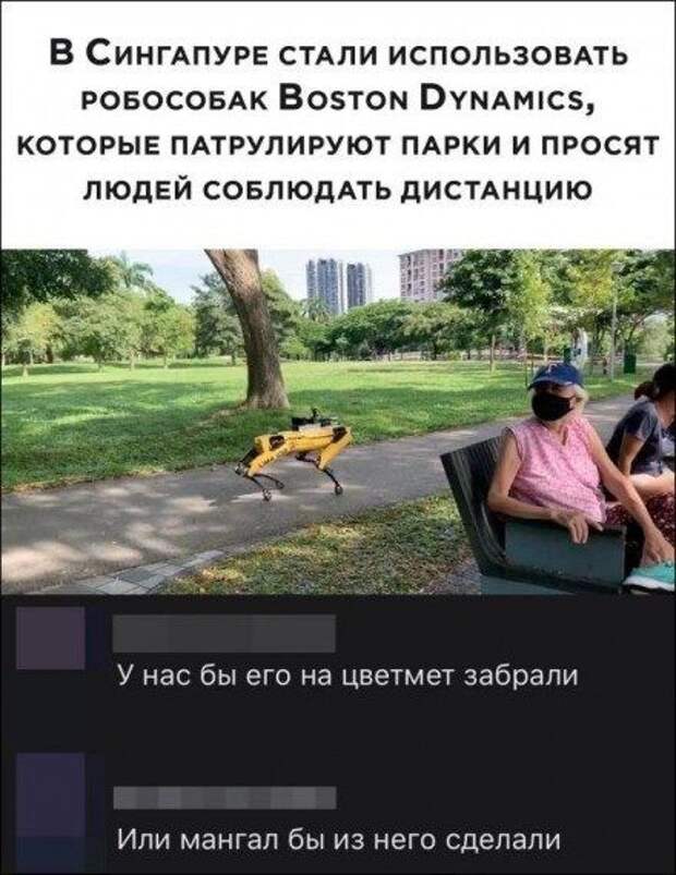 Прикольные картинки в ассортименте!!!