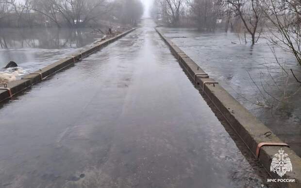 Мокша и Ермишь топят окрестности: паводок в Рязанской области 2 апреля