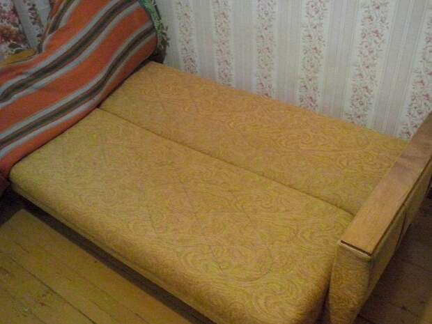 Коварные вредители, которые лишают квартиру уюта