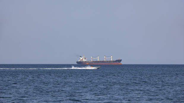 МИД Бахрейна: число проходящих по Ормузскому проливу танкеров сократилось на 90%