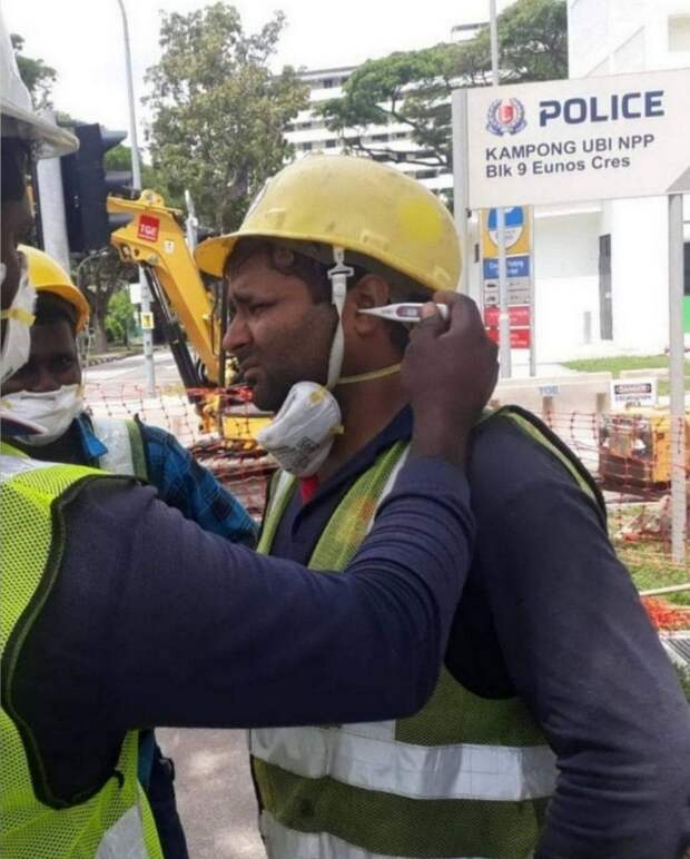 kartinok-veselyh-interesnyh-kartinki-smeshnye-kartinki-fotoprikoly kartinok-veselyh-interesnyh-kartinki-smeshnye-kartinki-fotoprikoly