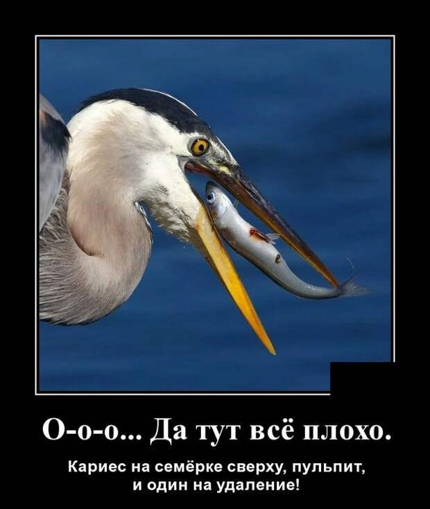 Демотиваторы 15 сентября 2021 года