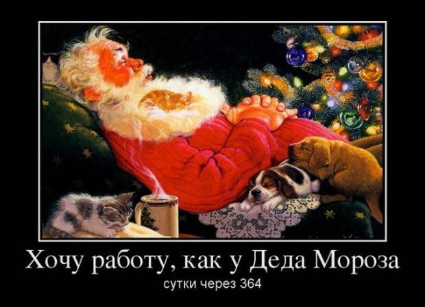 Демотиваторы (30 фото)