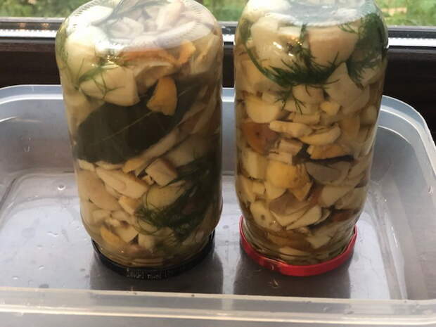 Маринованные грибочки на зиму. Моё «грибное золотое сечение» или выверенные годами пропорции для маринада