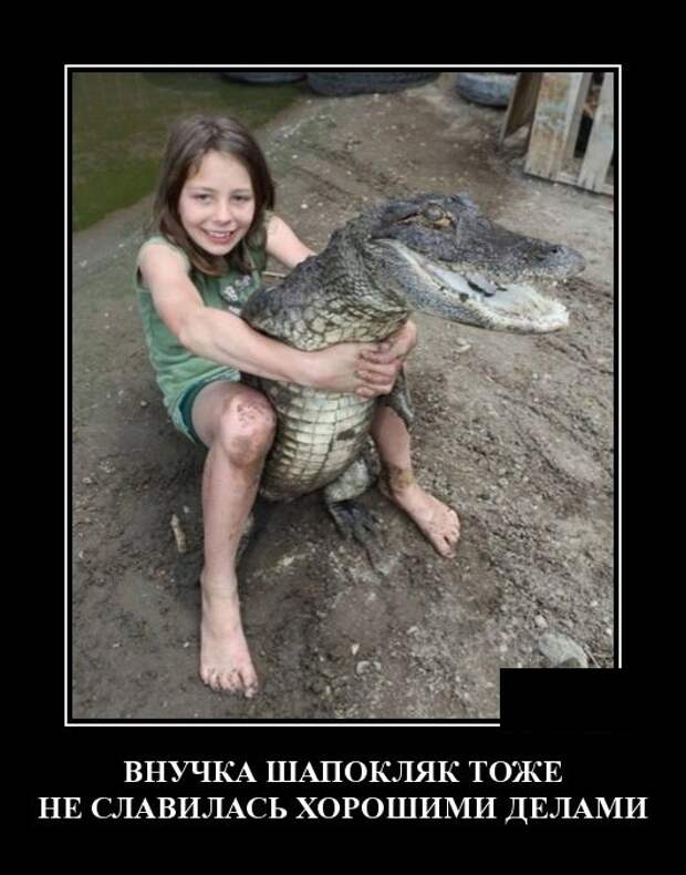 Демотиваторы