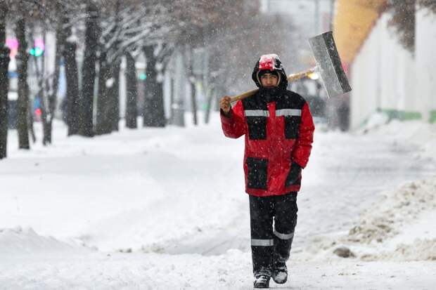 В Москве появился новый вид шеринга