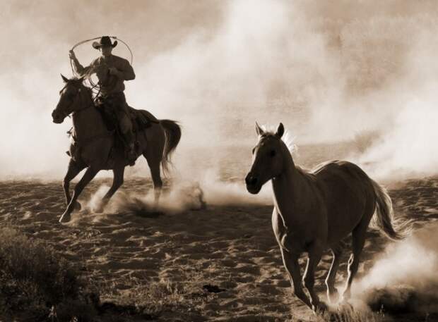 Ковбой на лошади / Фото: blog.stanis.ru Ковбой на лошади / Фото: blog.stanis.ru