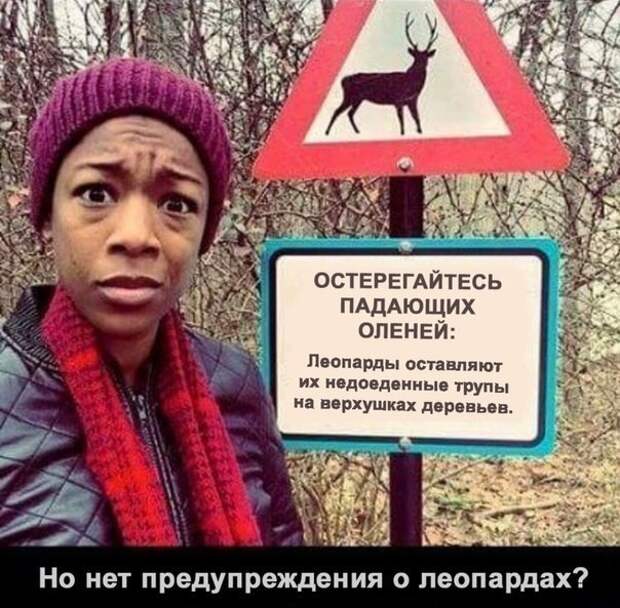 Смешные картинки с надписями прикол, юмор