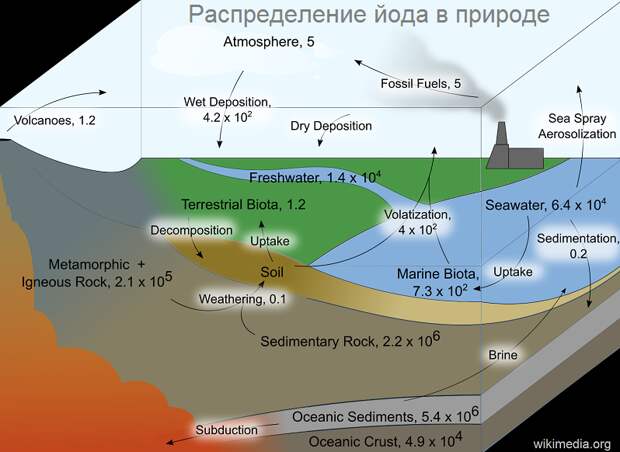 Безымянный йод.png