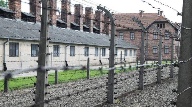 Ужасный период: историк назвал, сколько в Крыму погибло и выжило евреев во время Холокоста