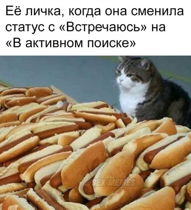 Мемы и приколы про 