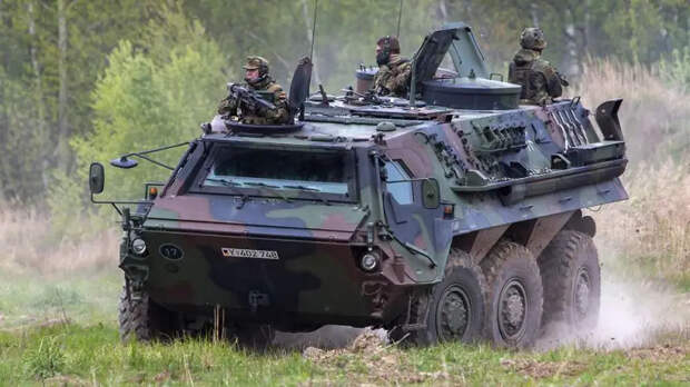 Планы и сроки: производство техники Rheinmetall на Украине