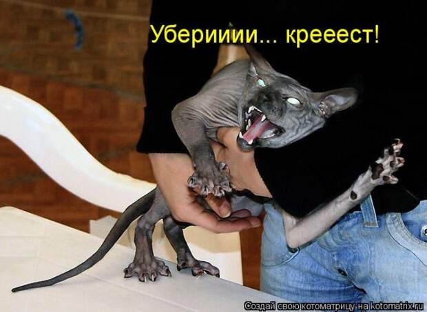 Мысли вслух :)