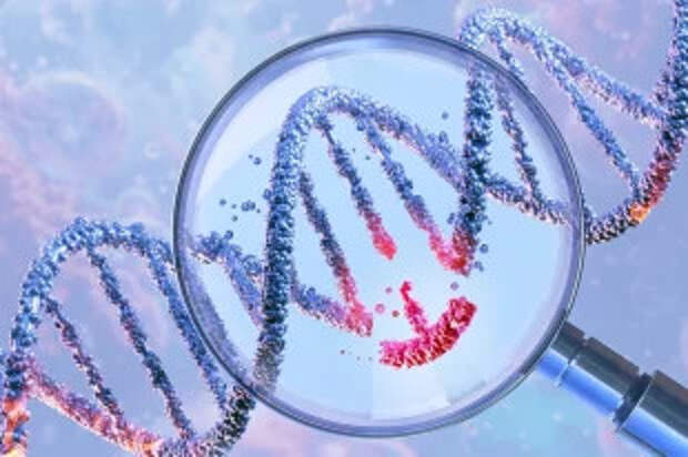 Что за наука нутригеномика?