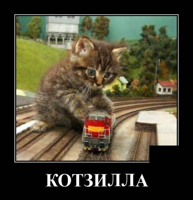 demotivatory-demotivator-smeshnye-demotivatory-demotivator-so-smyslom