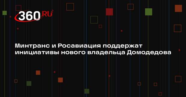 Минтранс и Росавиация поддержат инициативы нового владельца Домодедова