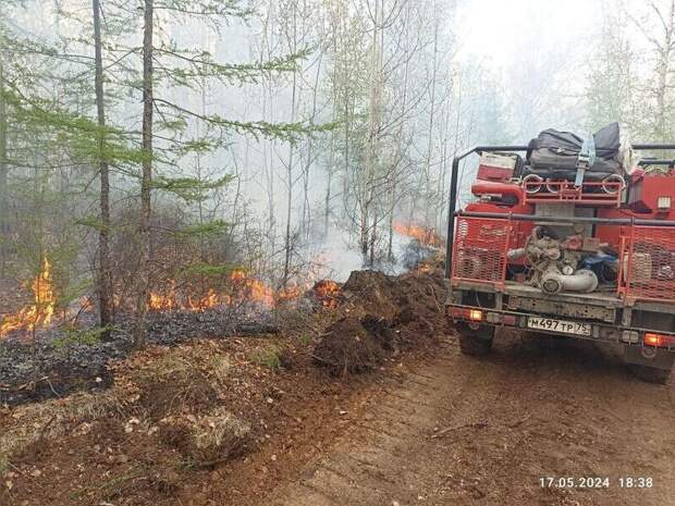 Четыре лесных пожара локализовано в Забайкалье