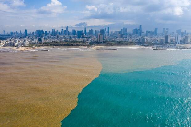 kartinok-veselyh-interesnyh-kartinki-smeshnye-kartinki-fotoprikoly kartinok-veselyh-interesnyh-kartinki-smeshnye-kartinki-fotoprikoly