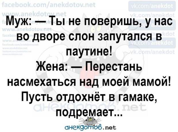 Анекдоты - лучшее от "анекдотовнет" Анекдоты - лучшее от "анекдотовнет"