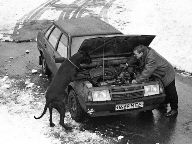 Подборка автомобильных приколов авто, автомобили, автоприкол, автоприколы, подборка, прикол, приколы, юмор