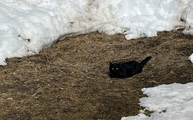 В Рязанской области 23 марта похолодает до -7°С