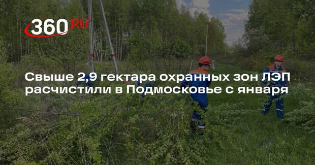 Свыше 2,9 гектара охранных зон ЛЭП расчистили в Подмосковье с января