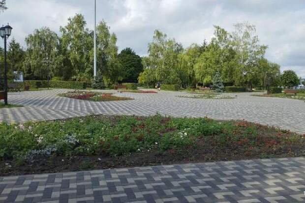 В Тамбове сорняками зарастают клумбы, которые стоили бюджету около 5 млн рублей